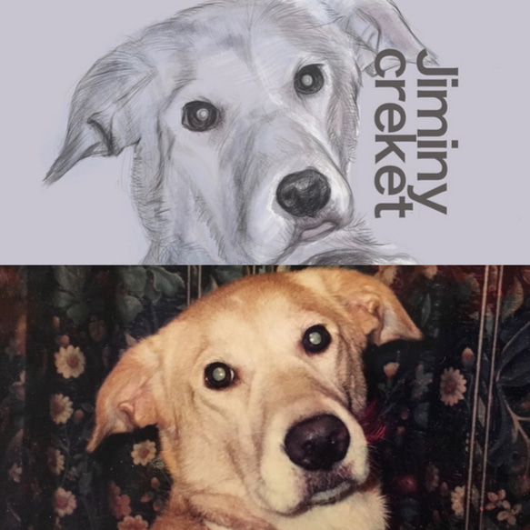 ペット　犬　猫　似顔絵　肖像画　イラスト　オーダーメイド 2枚目の画像