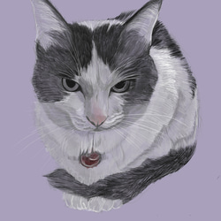 ペット似顔絵　ネコ　犬　イラスト　 3枚目の画像