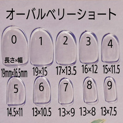 送料込み‼全４種類ｻﾝﾌﾟﾙﾁｯﾌﾟ 3枚目の画像