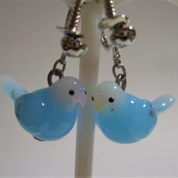 Sekisei長尾鸚鵡（淺藍色·白色）可換成耳環耳環 第4張的照片