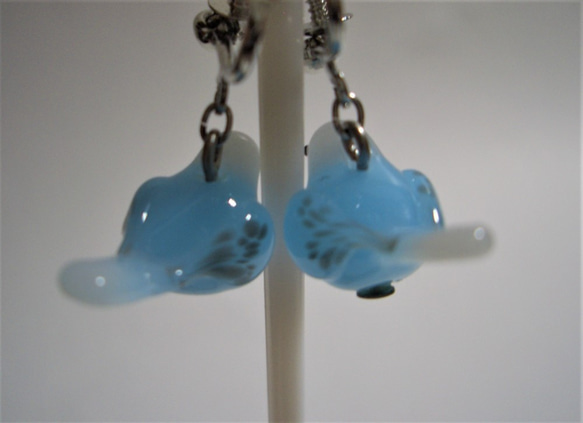 Sekisei長尾鸚鵡（淺藍色·白色）可換成耳環耳環 第5張的照片