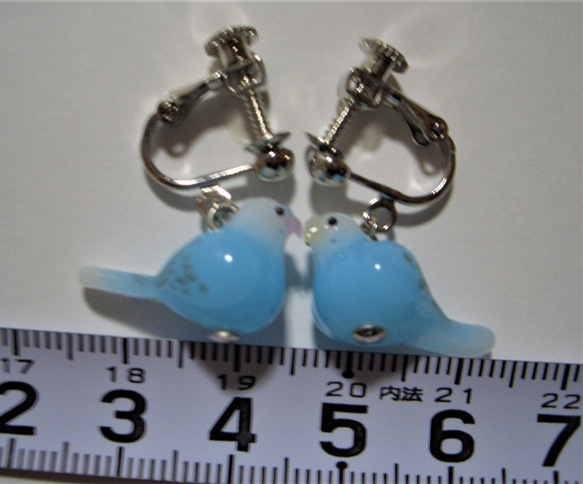 Sekisei長尾鸚鵡（淺藍色·白色）可換成耳環耳環 第8張的照片