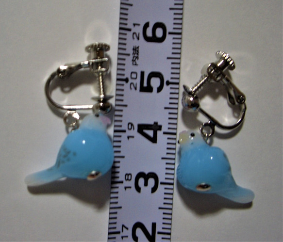 Sekisei長尾鸚鵡（淺藍色·白色）可換成耳環耳環 第9張的照片