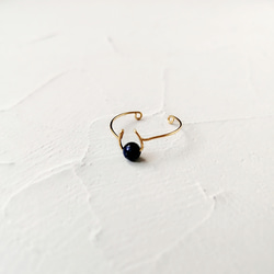 Horseshoe ＆ Lapis Lazuli Ring 2枚目の画像