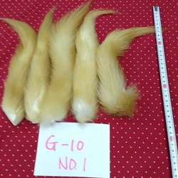 黃テン尾っぽ（テール）Ｇ－１０ ＮＯ．１ 2枚目の画像
