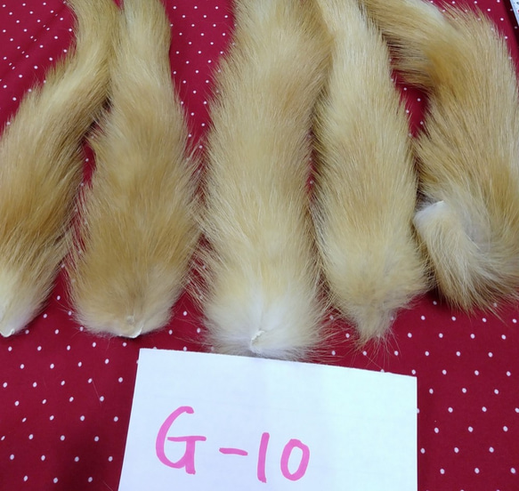 黃テン尾っぽ（テール）Ｇ－１０ ＮＯ．１ 3枚目の画像