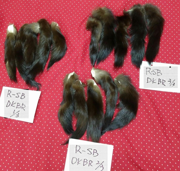 ロシアンセーブル尾っぽ（テール）ダークブラウン１／３ 3枚目の画像