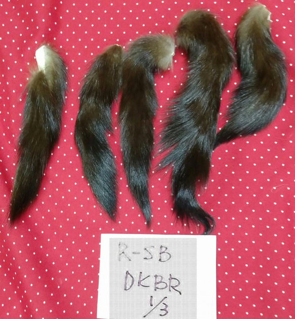 ロシアンセーブル尾っぽ（テール）ダークブラウン１／３ 1枚目の画像