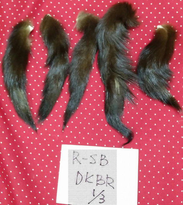 ロシアンセーブル尾っぽ（テール）ダークブラウン１／３ 2枚目の画像