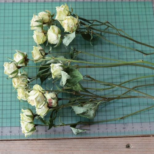 薄グリーンのスプレーバラのドライフラワー（14輪：3本） ドライ