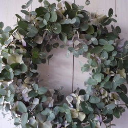 ユーカリと紫陽花　(Wreath リース） 4枚目の画像