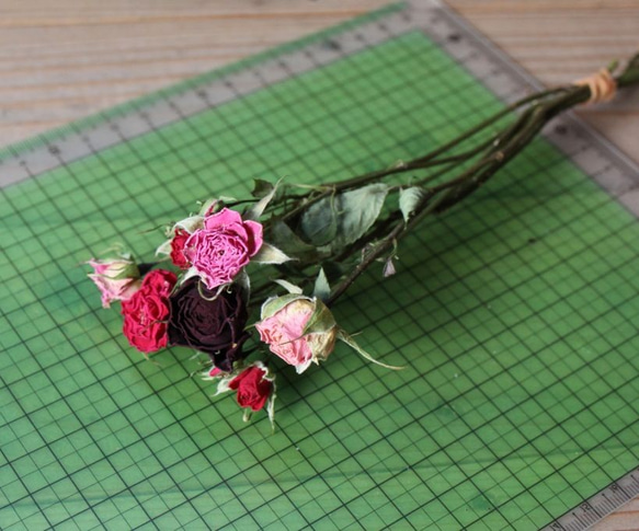 スプレーバラの Dry Flower　(15cm長:7輪set） 1枚目の画像