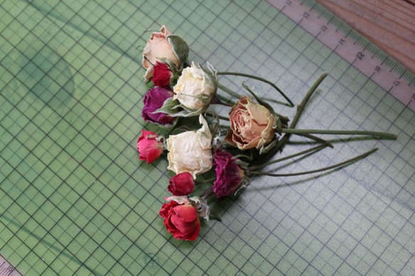 スプレーバラの Dry Flower　(4cm長:10輪set） 3枚目の画像