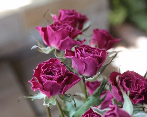 ピンク系❇️ミニバラ❣️ドライフラワー ドライフラワースワッグE バラ入りピンク系 | ドライフラワーと