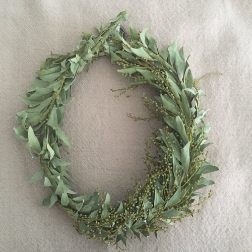 再販つぼみの三角葉ミモザのリース。 リース tree 通販 5246913