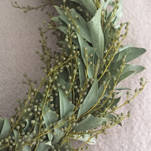 ミモザの葉とスモークツリー、野アザミのナチュラルリース ミモザの葉とスモークツリー、野アザミのナチュラルリース ミモザの葉