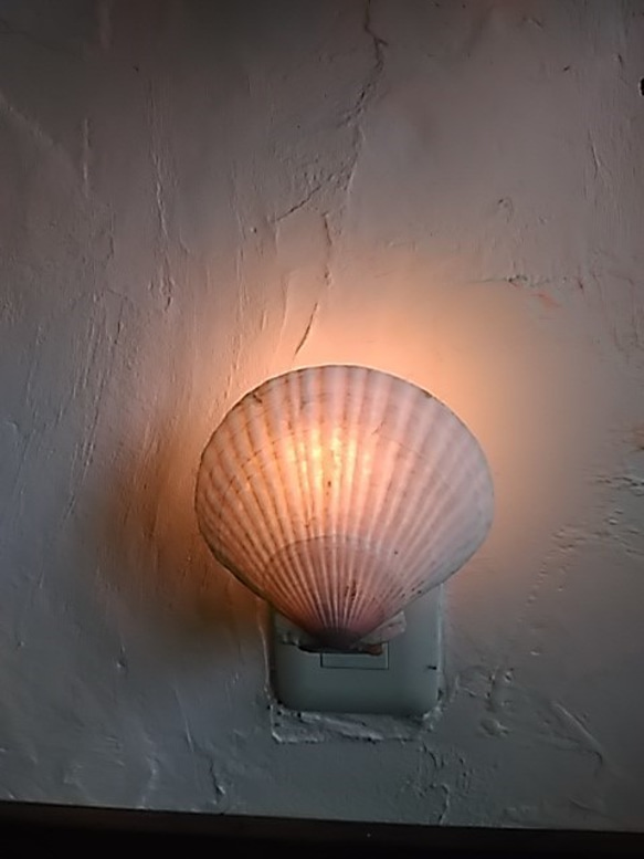 ホタテ貝のナイトランプ　 1枚目の画像