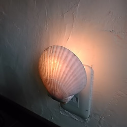 ホタテ貝のナイトランプ　 2枚目の画像