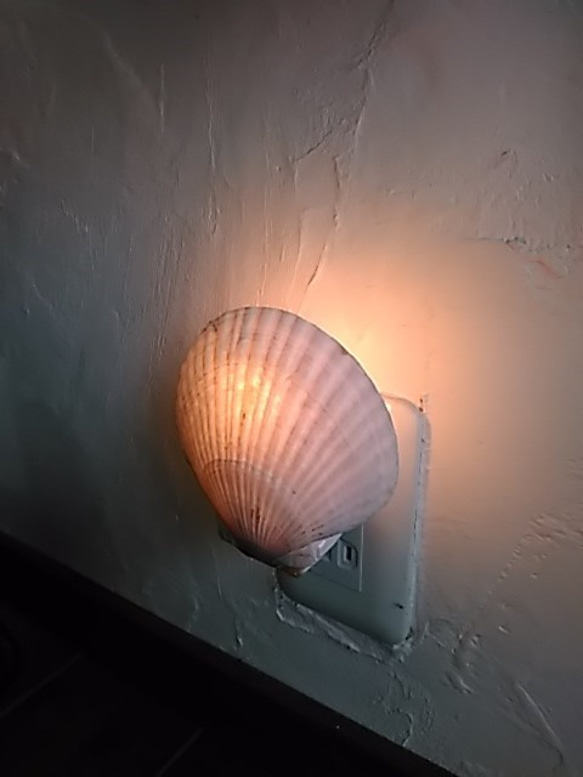 ホタテ貝のナイトランプ　 2枚目の画像