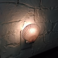 ホタテ貝のナイトランプ　 5枚目の画像