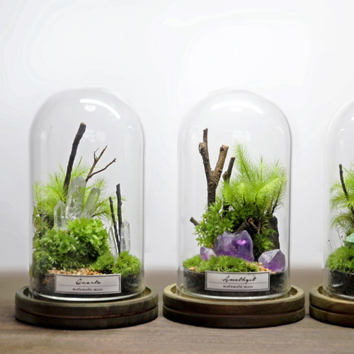 苔と鉱物の箱庭標本*ガラスドームテラリウム テラリウム mofumoss 通販