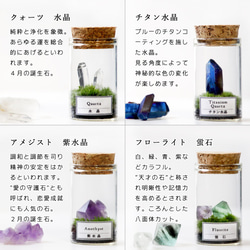 苔のミニテラリウム 鉱物と苔 3枚目の画像