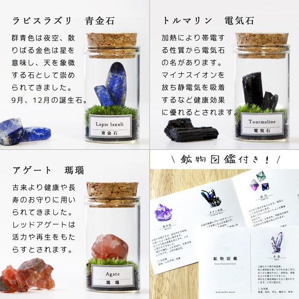 苔のミニテラリウム 鉱物と苔 4枚目の画像