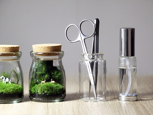 苔テラリウム用 お手入れセット「ピンセット＆スプレー」 2枚目の画像