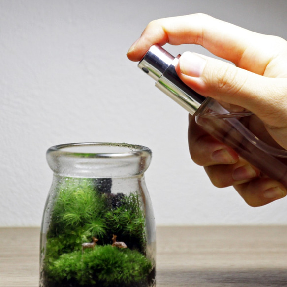 苔テラリウム用 お手入れセット「ピンセット＆スプレー」 5枚目の画像
