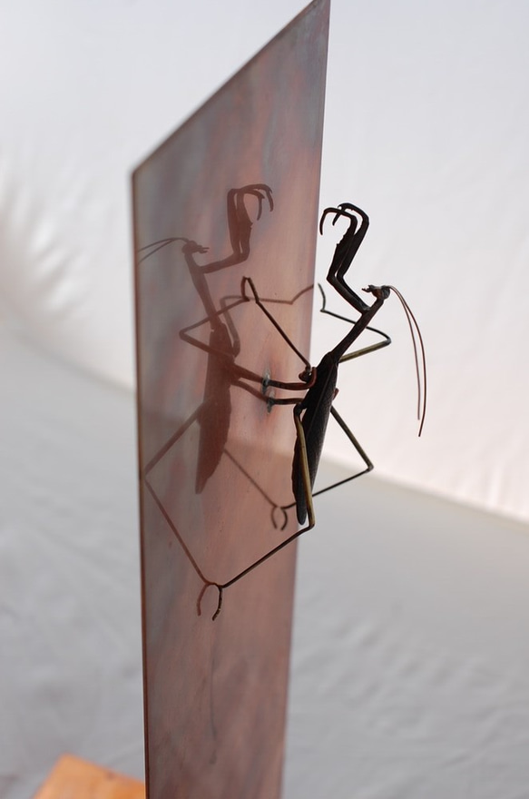 蟷螂(かまきり)metal insect series 銅壁 2枚目の画像