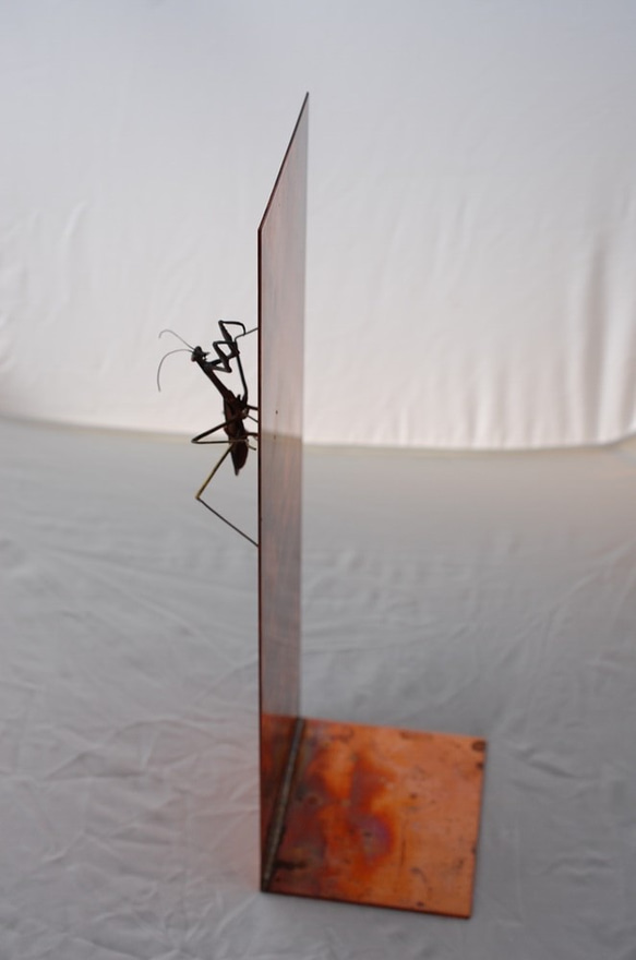 蟷螂(かまきり)metal insect series 銅壁 3枚目の画像