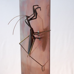 蟷螂(かまきり)metal insect series 銅壁 4枚目の画像