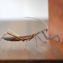 蟷螂(かまきり)metal insect series 銅壁 1枚目の画像