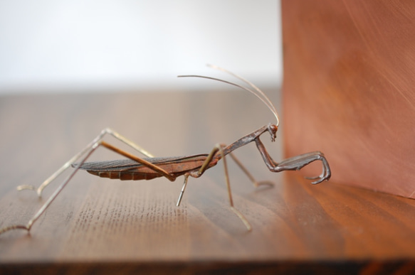 蟷螂(かまきり)metal insect series 銅壁 