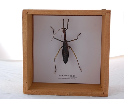 蟷螂(かまきり)metal insect series 立体・オブジェ tree frog