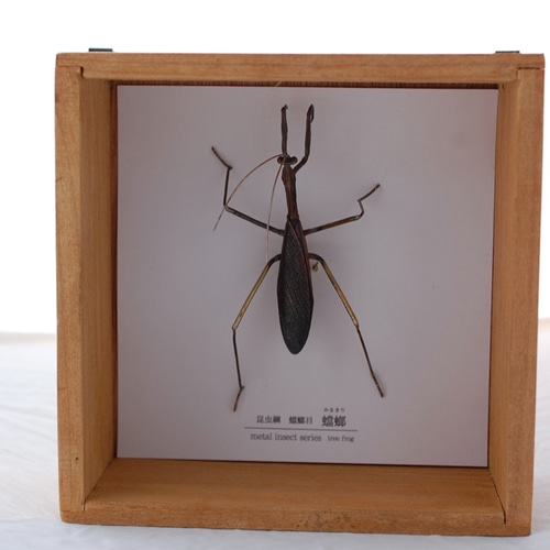 蟷螂(かまきり)metal insect series 立体・オブジェ tree frog