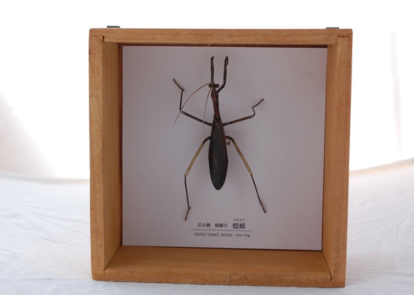 蟷螂(かまきり)metal insect series 立体・オブジェ tree frog