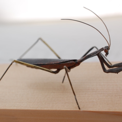 カマキリ昆虫 彫刻品 虫 両刀カマキリ 茶寵 書道具 文房具 カマキリ昆虫 彫刻品 虫 両刀カマキリ 茶寵 書道具 文房具