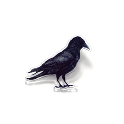 Crow brooch 2枚目の画像