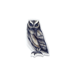 Owl brooch 3枚目の画像