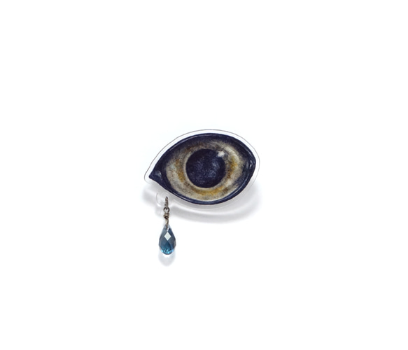 Owl eye brooch 3枚目の画像