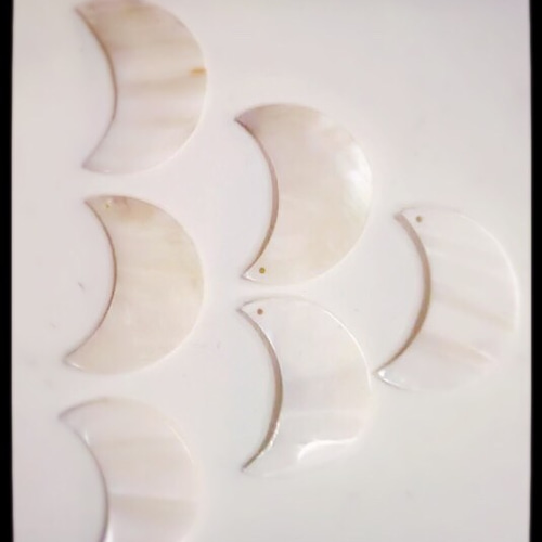 貝殻セット 貝殻セット - メルカリ