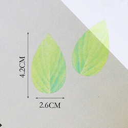 「5個セット 新緑」26×42mm  オーガンジー 小 1枚目の画像