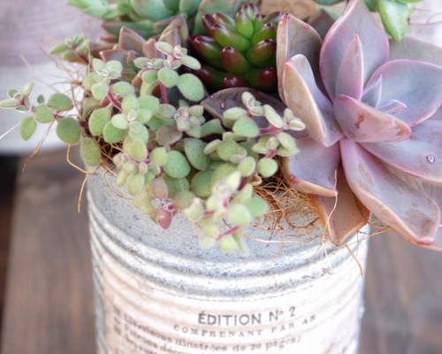 ☆128 ピンク×ブルー 蓋付き リメ缶 リメイク缶 リメイク鉢 多肉植物 ☆128 ピンク×ブルー 蓋付き リメ缶 リメイク缶 リメイク鉢 多肉植物