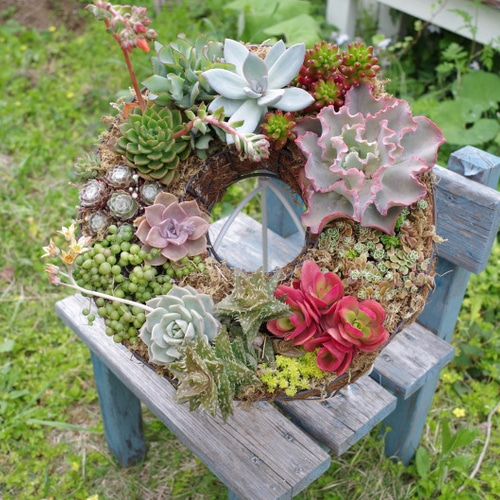 sweetbasket セメントリース カクトロコ 多肉植物寄せ植えに 中古品