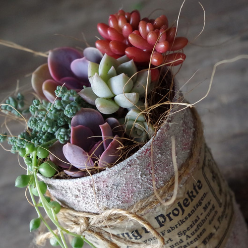 ★★リメイク缶❤️ハンドメイド★薔薇★寄せ植えに♪♪★多肉植物