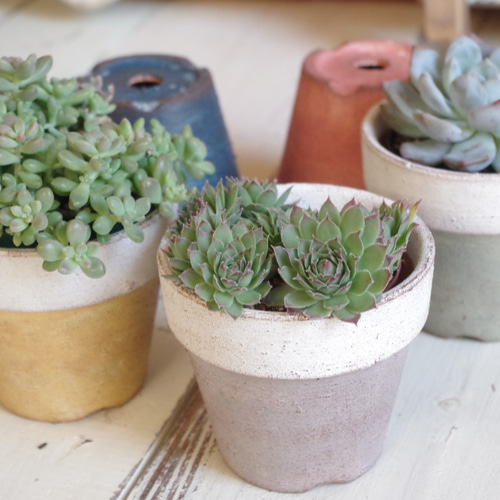 ツートン(上ホワイト)リメイク鉢5色セット 一輪挿し・花瓶・花器