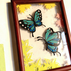 藍色蝴蝶2L大小牆壁垂懸的框架 第2張的照片