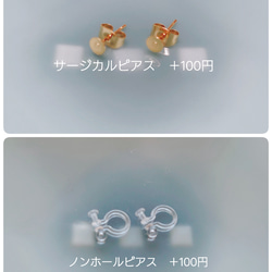  第4張的照片