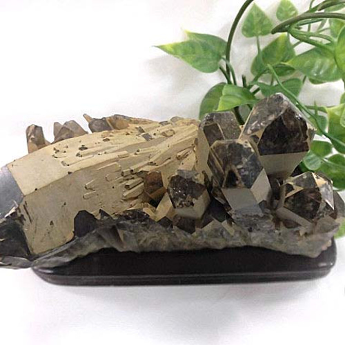 天然石 黒水晶クラスター 台座付 200720588 その他インテリア